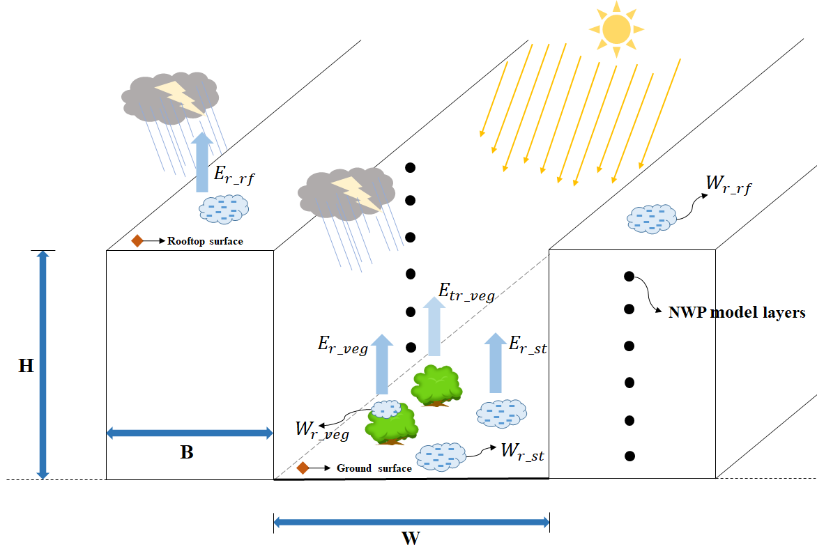 Moisture exchange — rainfall interception, evapotranspiration, and storage over rooftops, vegetation, and street surfaces.
